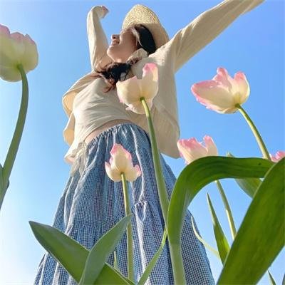 安妮日记：始末